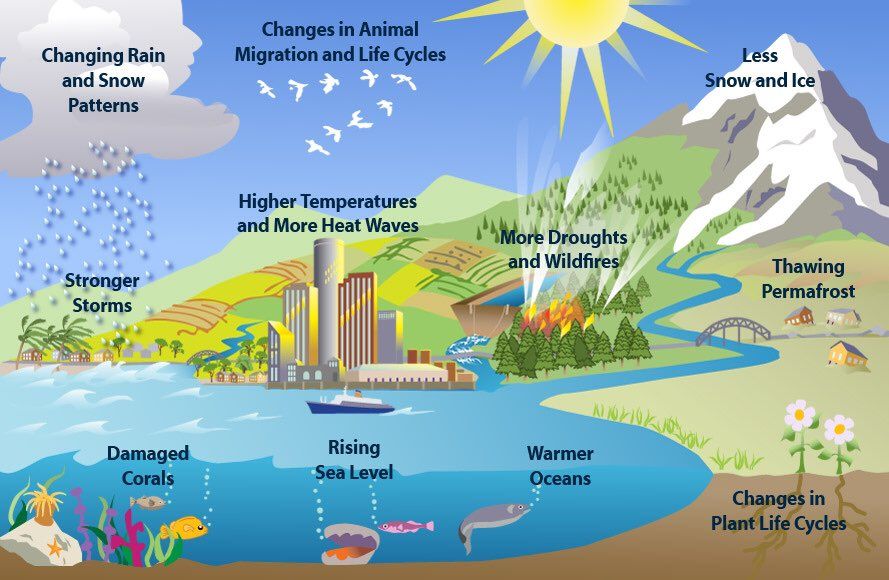 Image of The Effects Of Global Warming On The Ecosystems