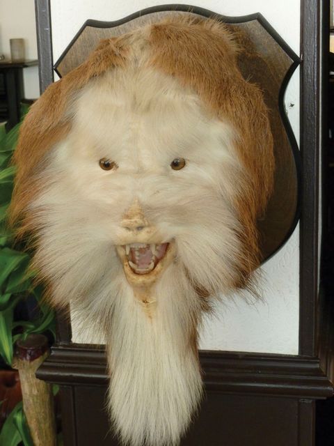 Image of The Existence Of