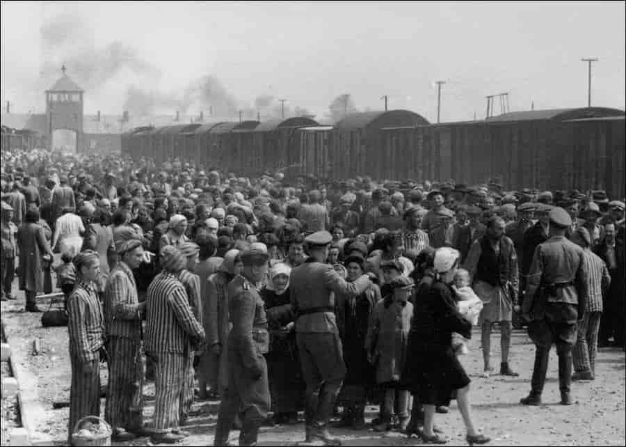 Image of Bureaucratic Implementation Of The Holocaust
